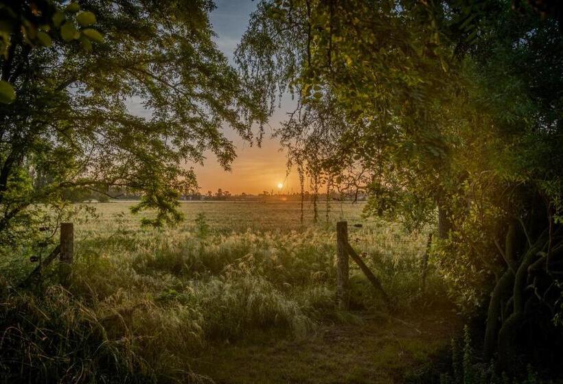 Отель La María Paloma