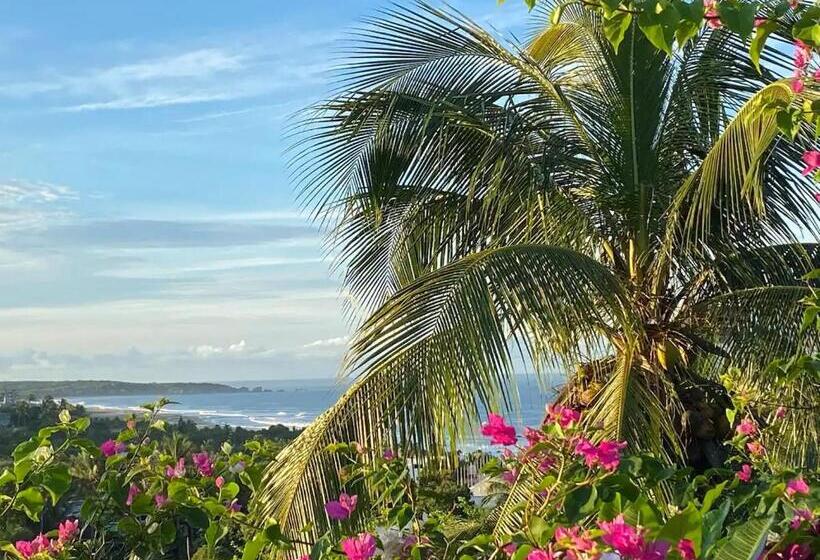 بنسيون Museo Viscuso Ospitalità Six Edens