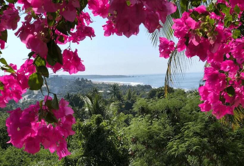 بنسيون Museo Viscuso Ospitalità Six Edens