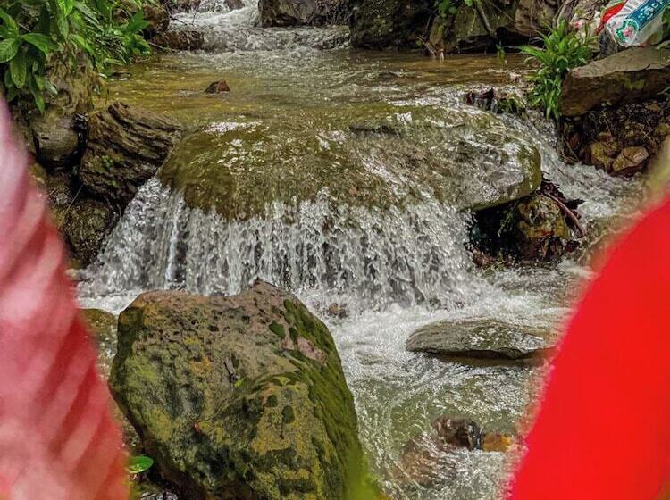 הוסטל Blue Shore Pavilion