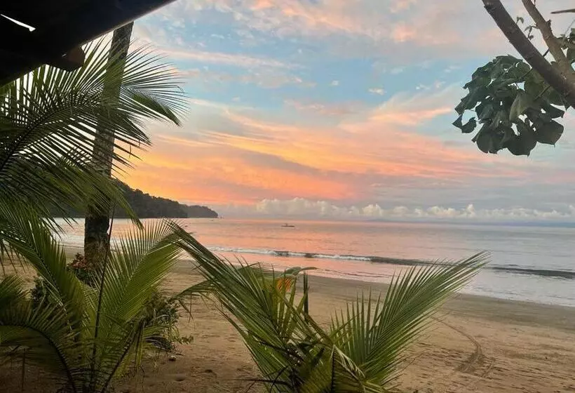 ユースホステル Posada Brisas Del Mar