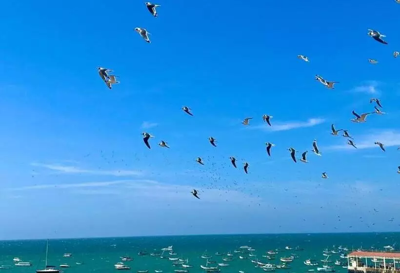 ホテル Punta Veleros Rooftop