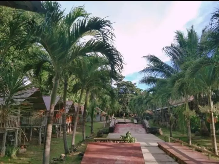 Palaboy Skatecamp Beach Resort