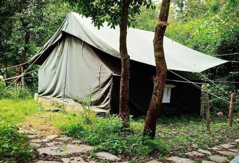 Pensjonat Books And Birds