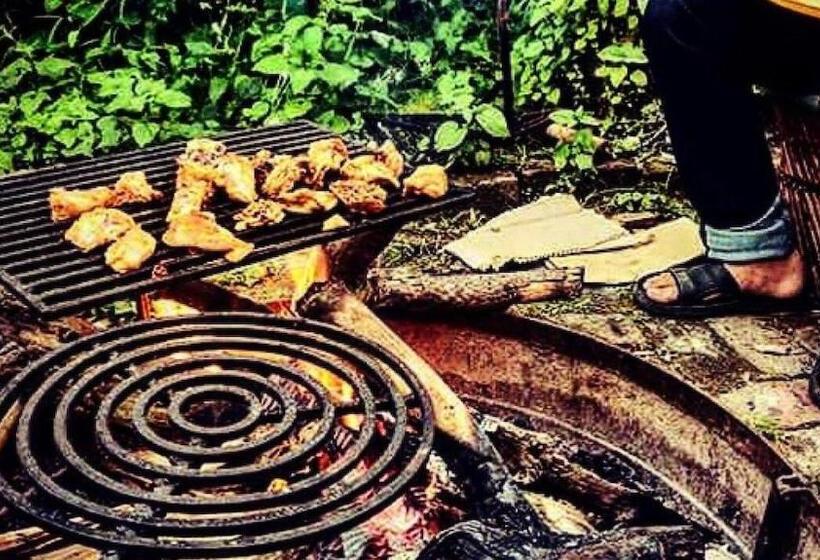 Pensjonat Books And Birds