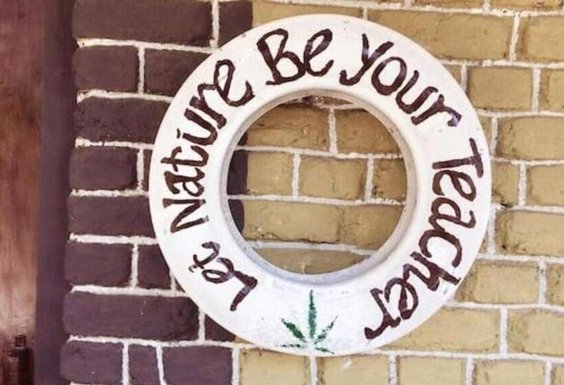 Pensjonat Books And Birds