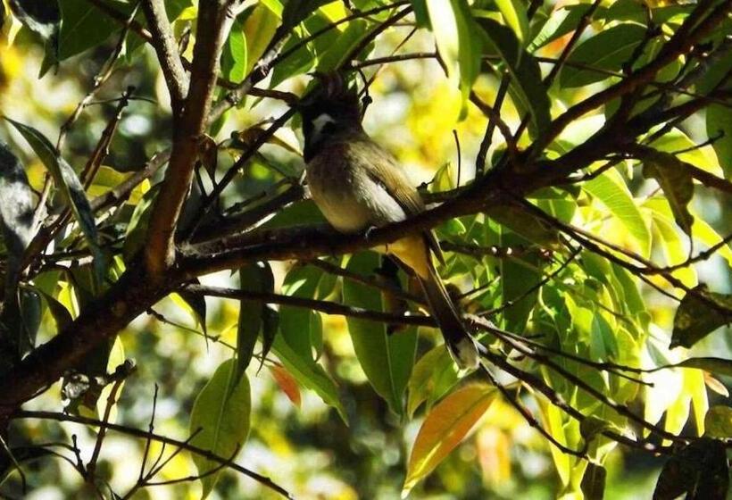 Pensjonat Books And Birds