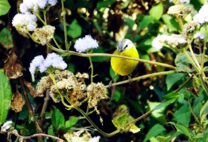 Pensjonat Books And Birds