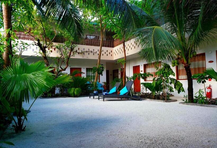 پانسیون Honey Seren Retreat