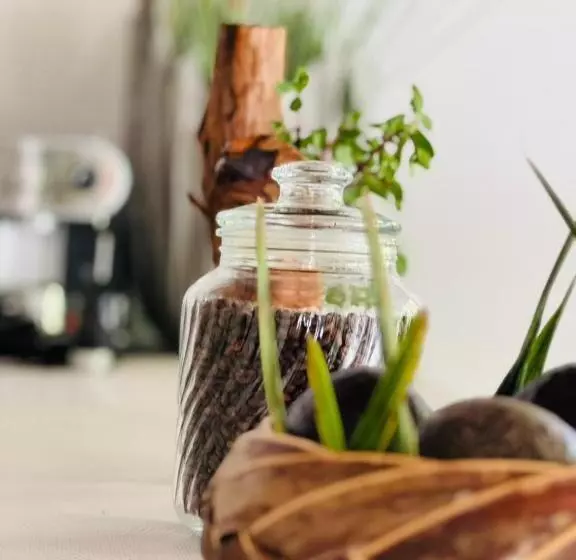 پانسیون Honey Seren Retreat