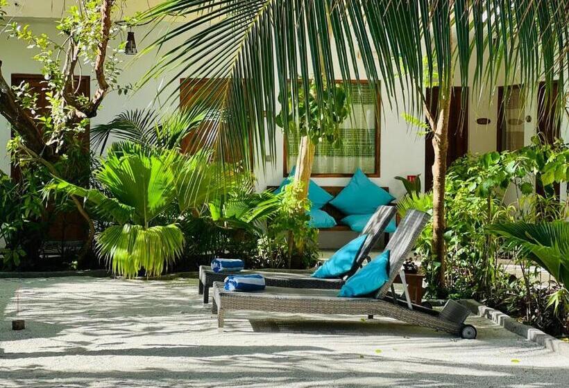 پانسیون Honey Seren Retreat