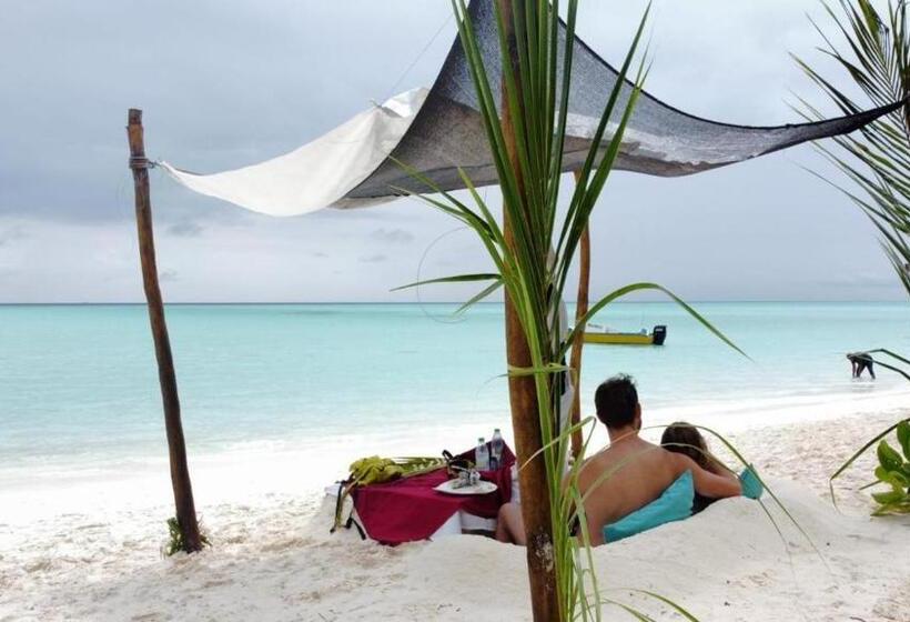 پانسیون Honey Seren Retreat