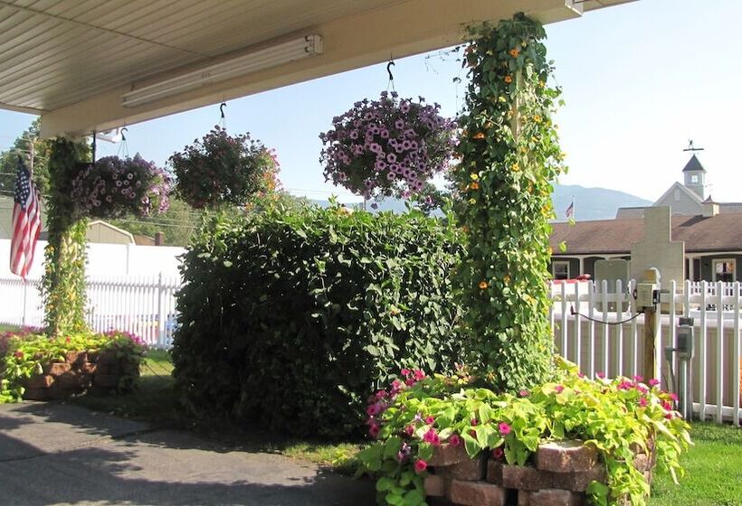 호텔 Mt Madison Inn & Suites