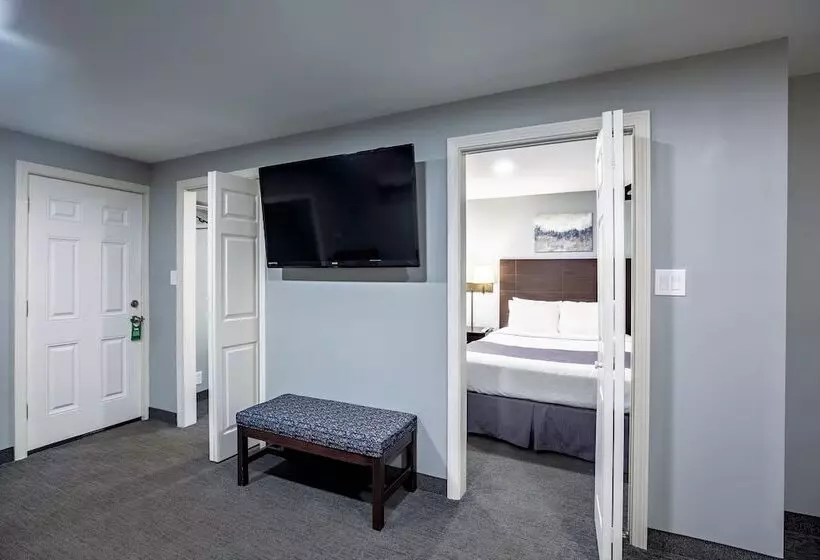 ホテル Mt Madison Inn & Suites