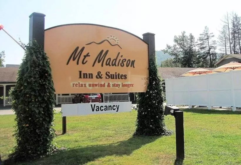ホテル Mt Madison Inn & Suites