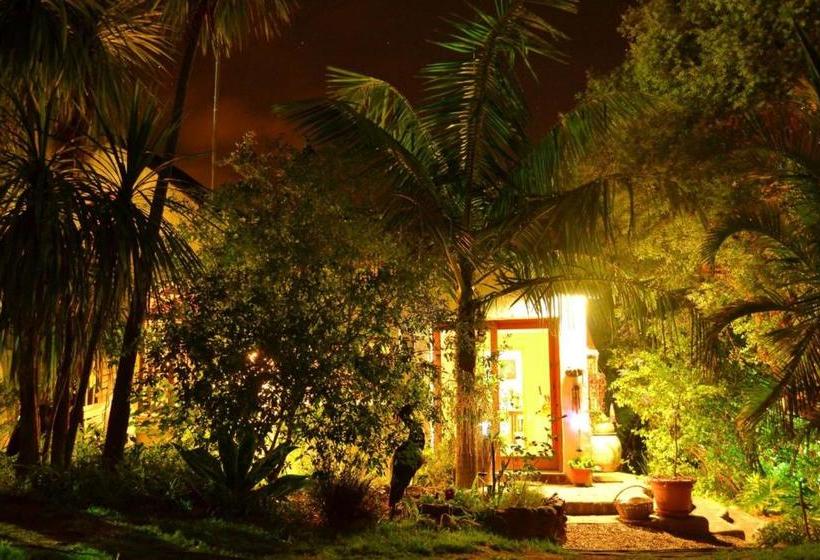 ホテル Old Thatch Lodge