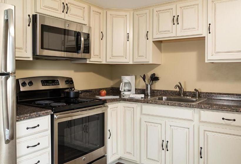 فندق Silver Birches Resort