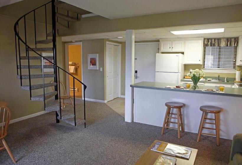 فندق Silver Birches Resort