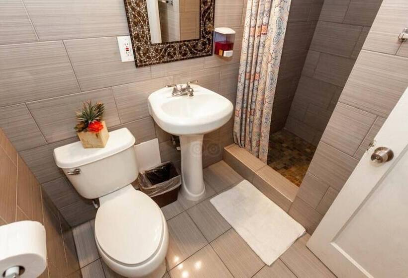 فندق The Beach Waikiki Boutique Hostel