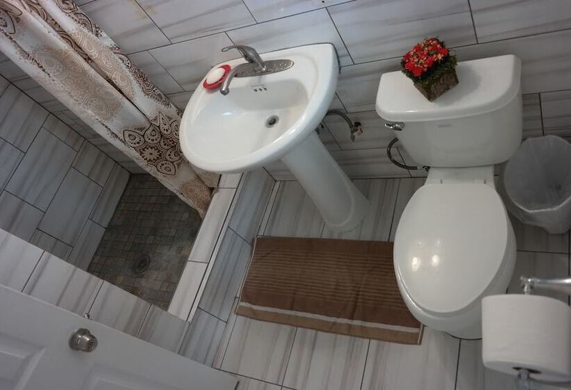 فندق The Beach Waikiki Boutique Hostel