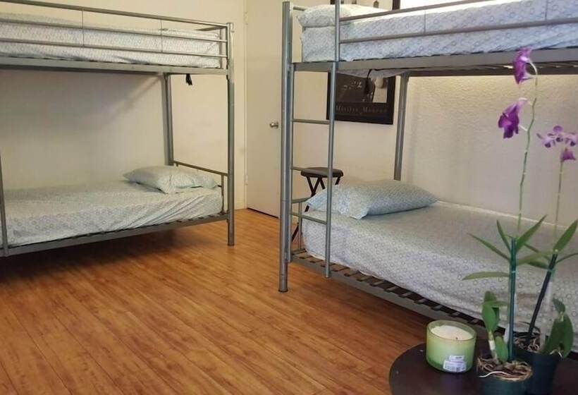 فندق The Beach Waikiki Boutique Hostel