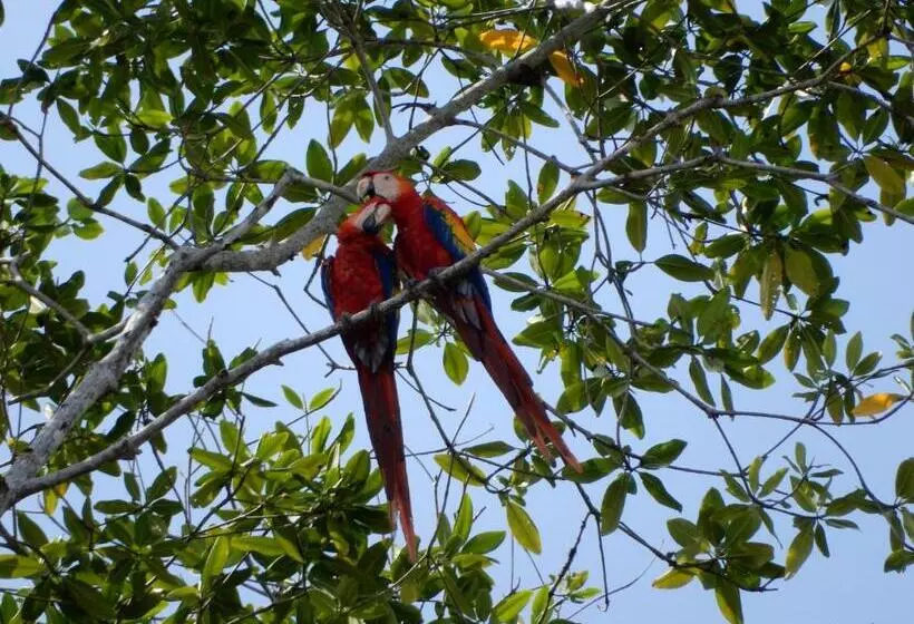 Aamiaismajoitus (B&B) Raya