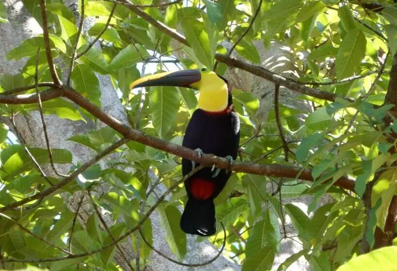 Aamiaismajoitus (B&B) Raya