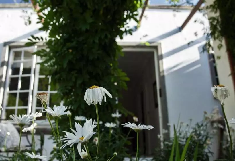 ベッドアンドブレックファースト The Montagu Coach House