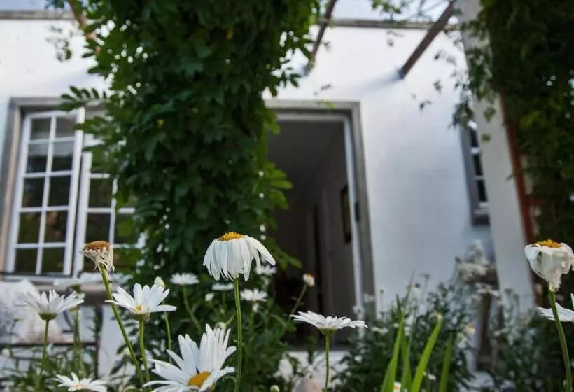 ベッドアンドブレックファースト The Montagu Coach House