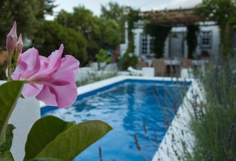 Bed and Breakfast The Montagu Coach House