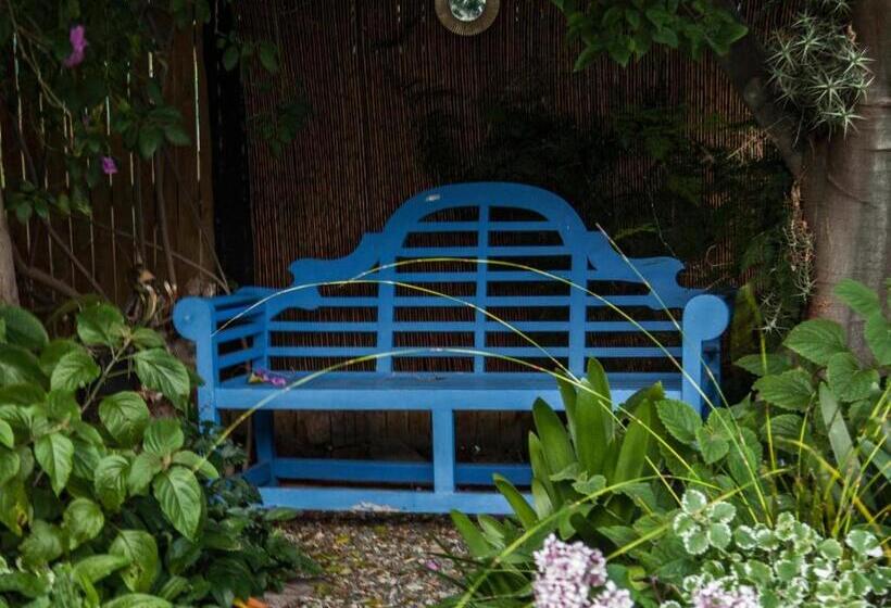 Bed and Breakfast The Montagu Coach House