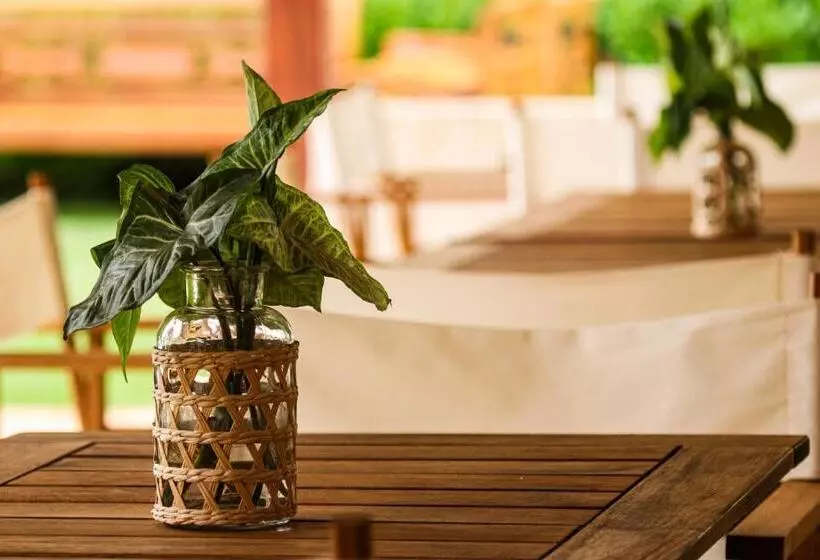 ユースホステル Pousada Manacá Exclusive Suítes