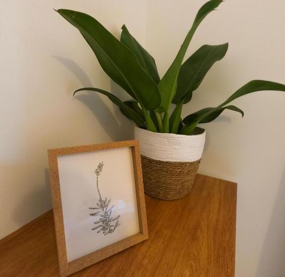 호스텔 Pousada Manacá Exclusive Suítes