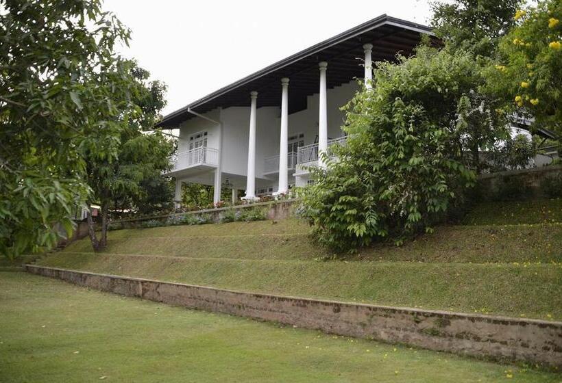 Nocleg ze śniadaniem Boztreve Home