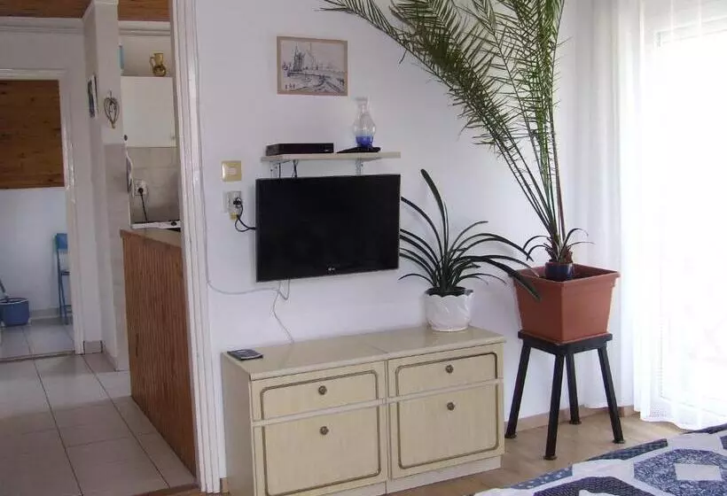 ペンション Czanek Apartman