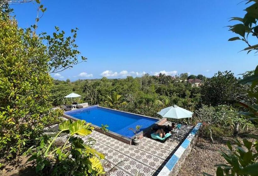 膳宿费 La Village Hill View