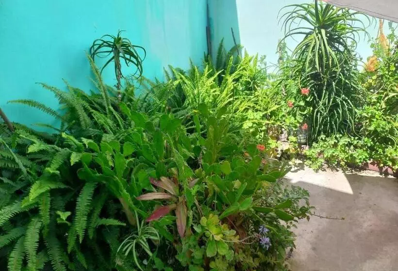 Retkeilymaja Palmeras Del Tuyu