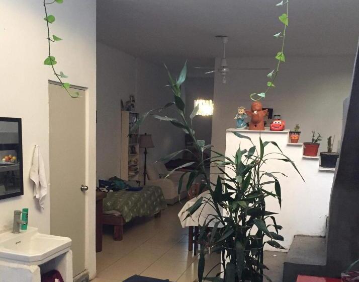 هاستل Pomarrosa