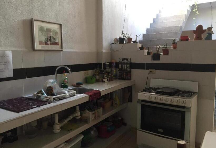 هاستل Pomarrosa