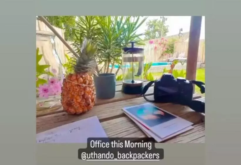 هاستل Uthando Backpackers Lodge