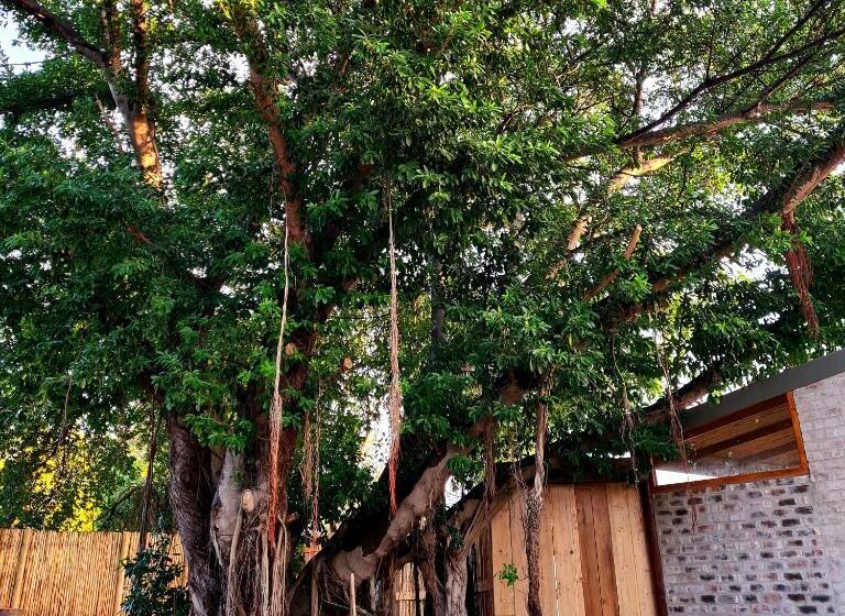 Hostel Uthando Backpackers Lodge