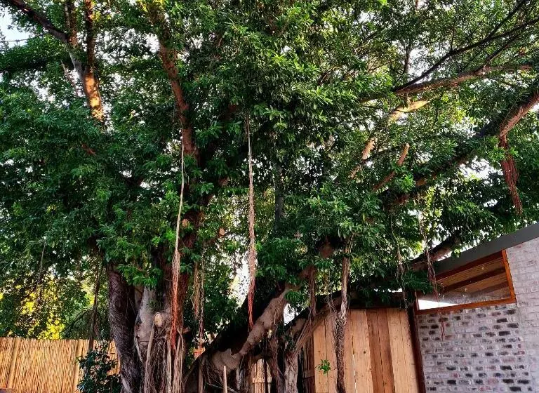 هاستل Uthando Backpackers Lodge