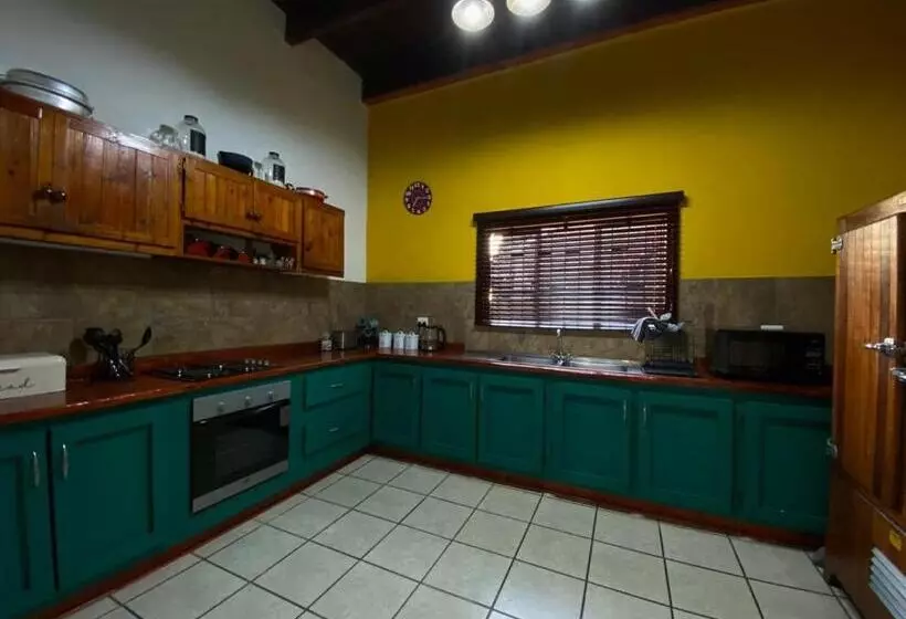 هاستل Uthando Backpackers Lodge