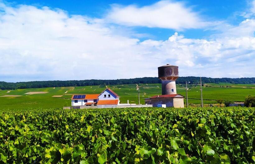 ベッドアンドブレックファースト Au Bouchon Champenois