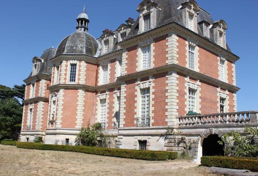 住宿加早餐  Chateau Du Guérinet D Orchaise