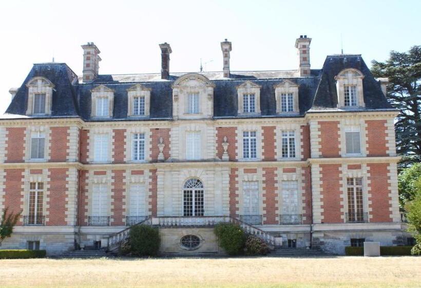 住宿加早餐  Chateau Du Guérinet D Orchaise
