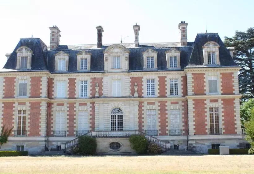 ベッドアンドブレックファースト Chateau Du Guérinet D Orchaise