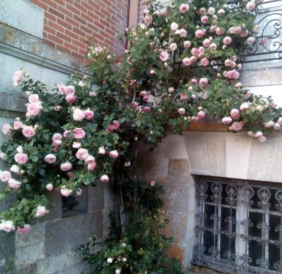 住宿加早餐  Chateau Du Guérinet D Orchaise