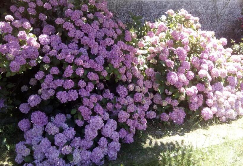 住宿加早餐  Chateau Du Guérinet D Orchaise