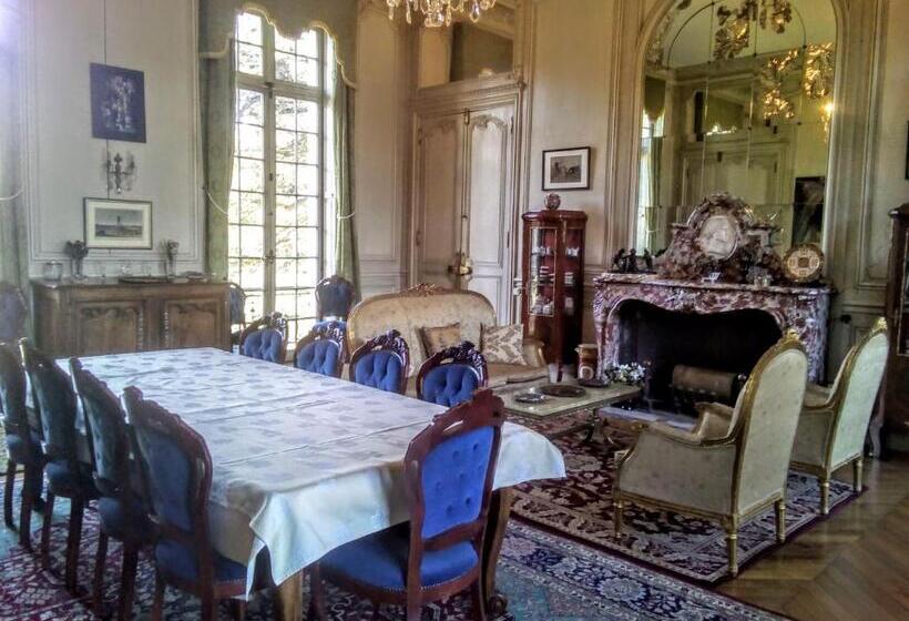 住宿加早餐  Chateau Du Guérinet D Orchaise